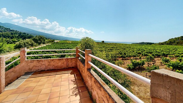 A terrace with a view of a vineyard under a clear sky. - 3 bedroom awesome home in Bédoin (Bédoin)