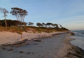 Beach nearby - Am Bernsteinweg, Germany (Prerow)
