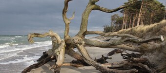 På Bernsteinweg - On Bernsteinweg
