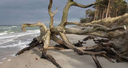 On Bernsteinweg - On Bernsteinweg