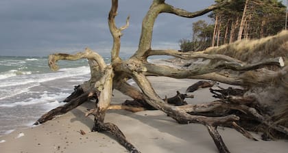 Am Bernsteinweg, Deutschland