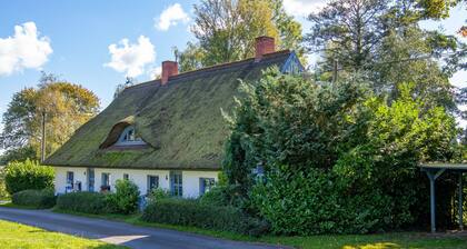 Lütt Stuuv am Dorfanger - Ferienwohnung