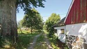 Un sentiero di campagna che conduce a un edificio bianco con tetto rosso, circondato da alberi e un muro in pietra.