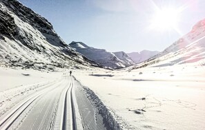 Deportes de invierno y ski