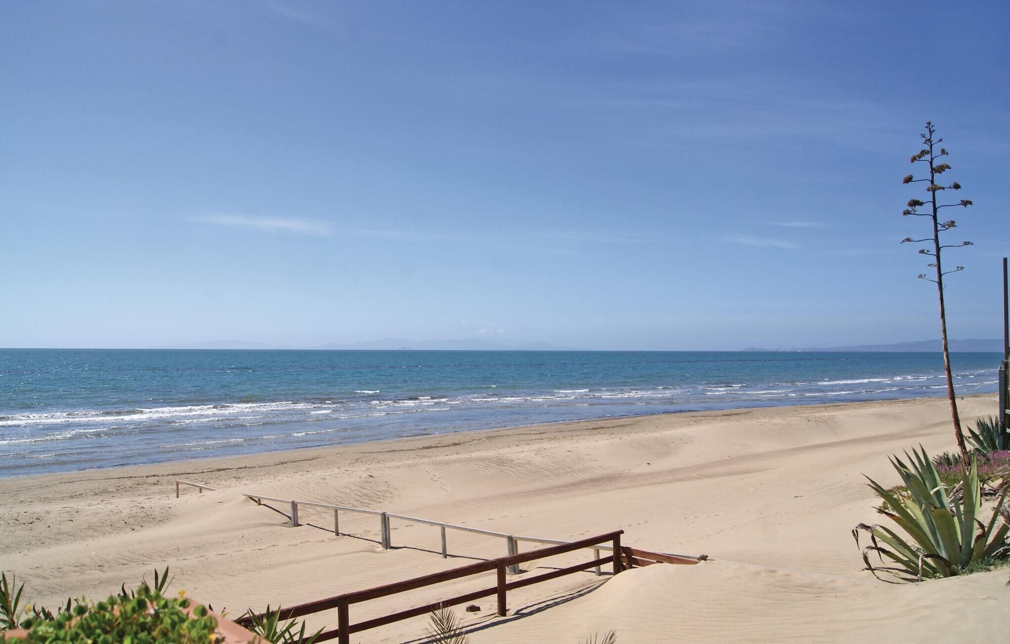 Een strand met een houten omheining en een hoge plant.