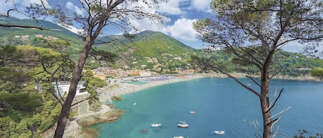 Nära stranden