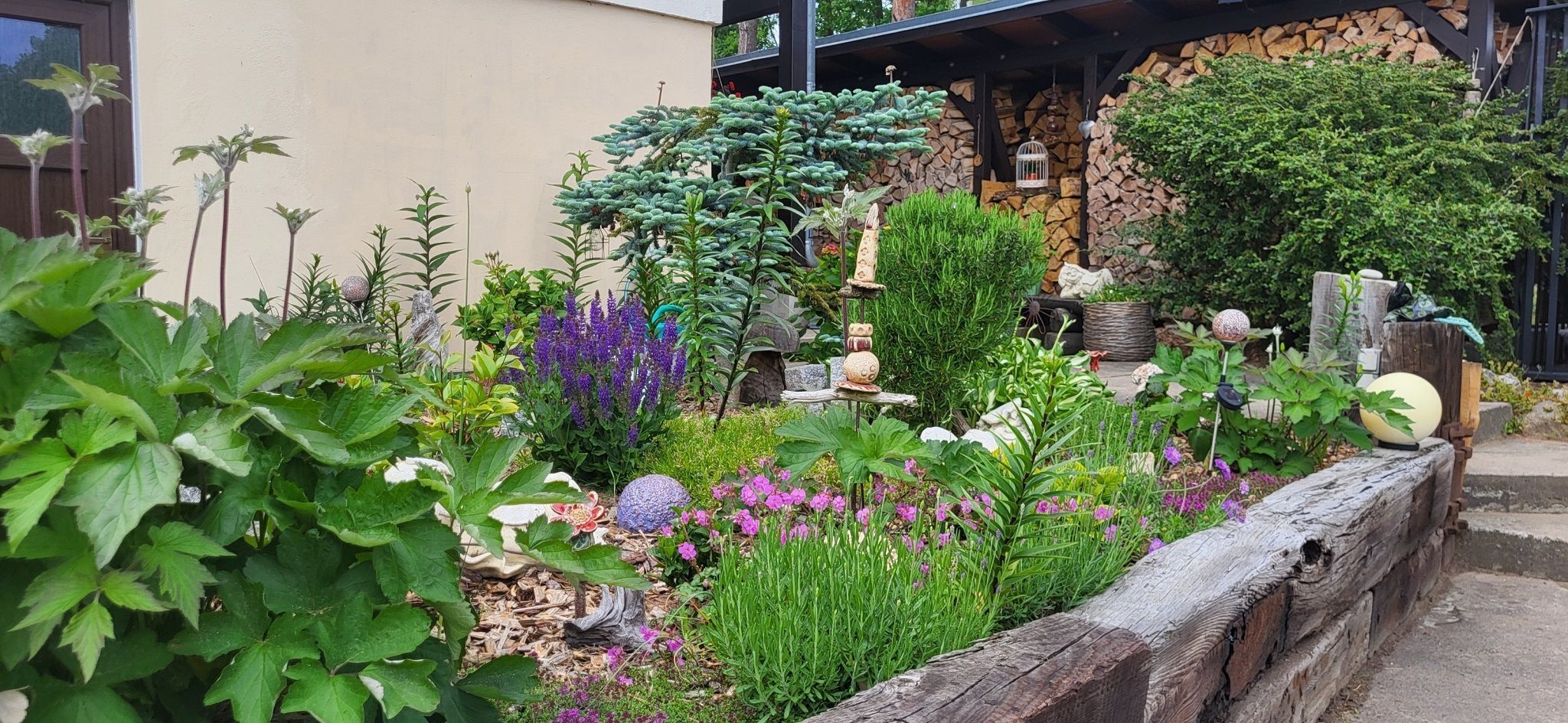 Ein Garten mit verschiedenen Pflanzen und Ziergegenständen.