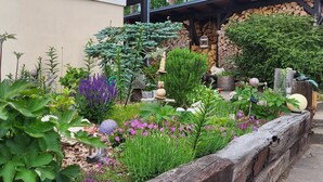 A garden with various plants and decorative items.