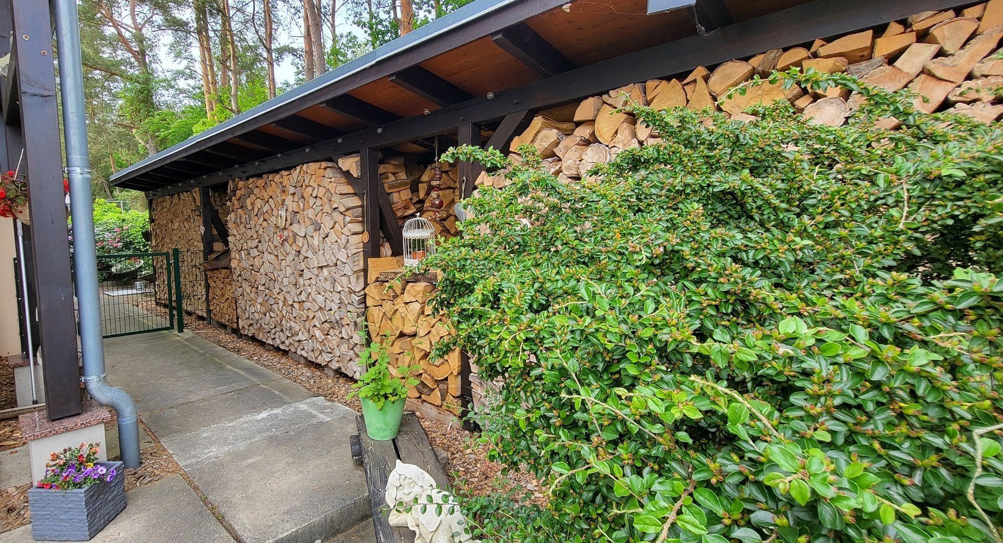 A stone wall with stacked firewood, a wooden bench, and a green bush.