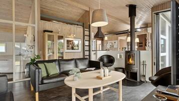 Televisio, takka, DVD-soitin