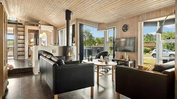 Una televisión, una chimenea, un reproductor de DVD