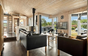 Televisio, takka, DVD-soitin