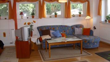 Fernseher