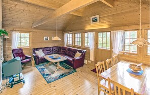 TV, fireplace, DVD player