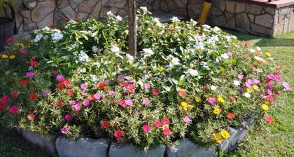 Maison de vacances avec Internet et barbecue