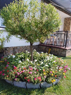 Property grounds - Holiday home with internet and barbecue facilities (Balatonkeresztúr)