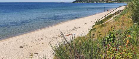 Una playa con agua cristalina, una orilla arenosa y una zona cubierta de hierba con vegetación.