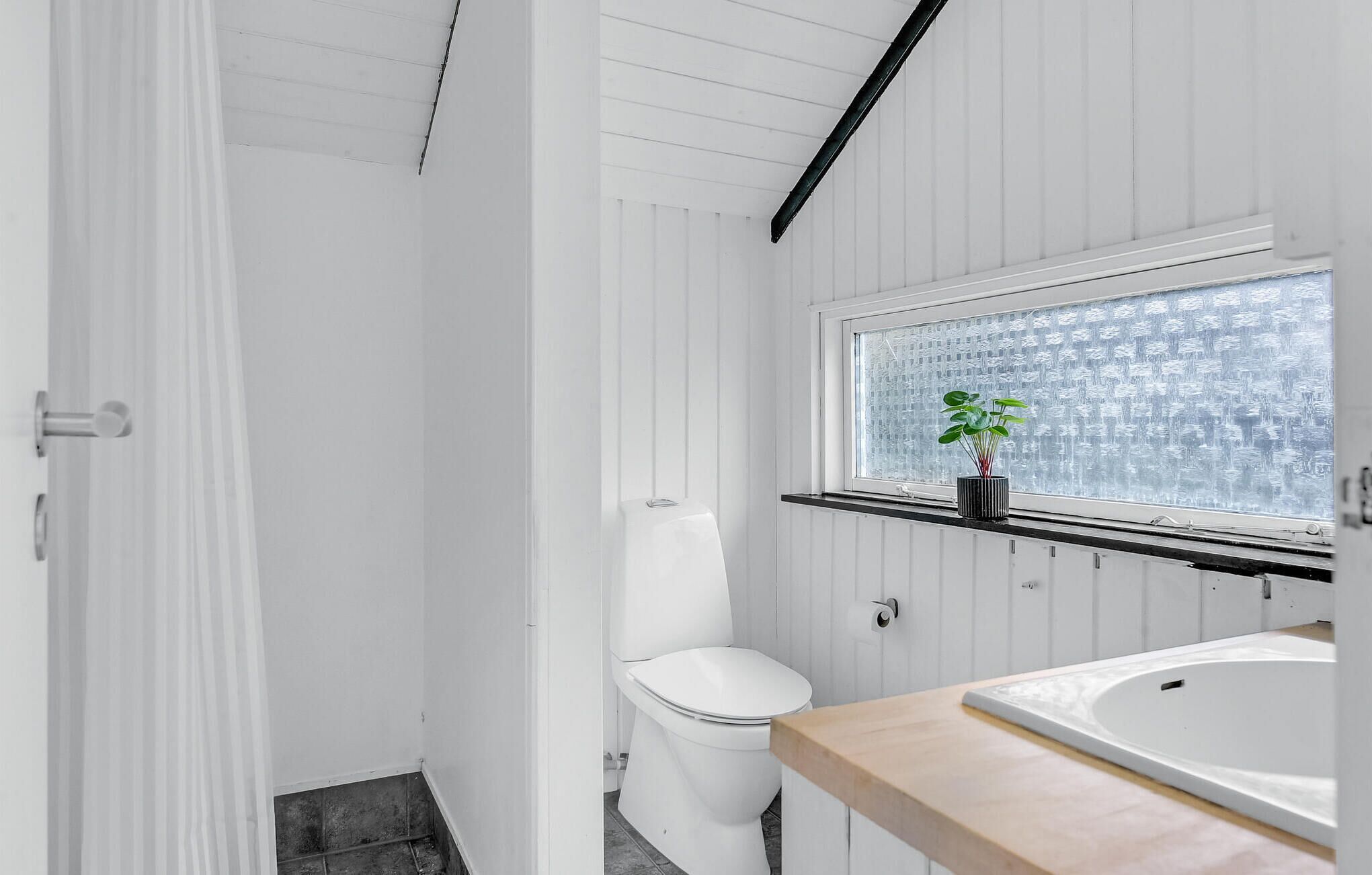 A bathroom with a white toilet, a sink, and a window with a plant.