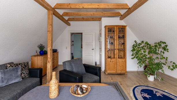 A living room with a wooden ceiling, a sofa, a cabinet, and a potted plant. - Apartment garden view - 2-room apartment garden view (Rerik)
