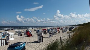Une plage bordée de rangées de chaises de plage et de parasols, dont certains portent des numéros bien visibles.