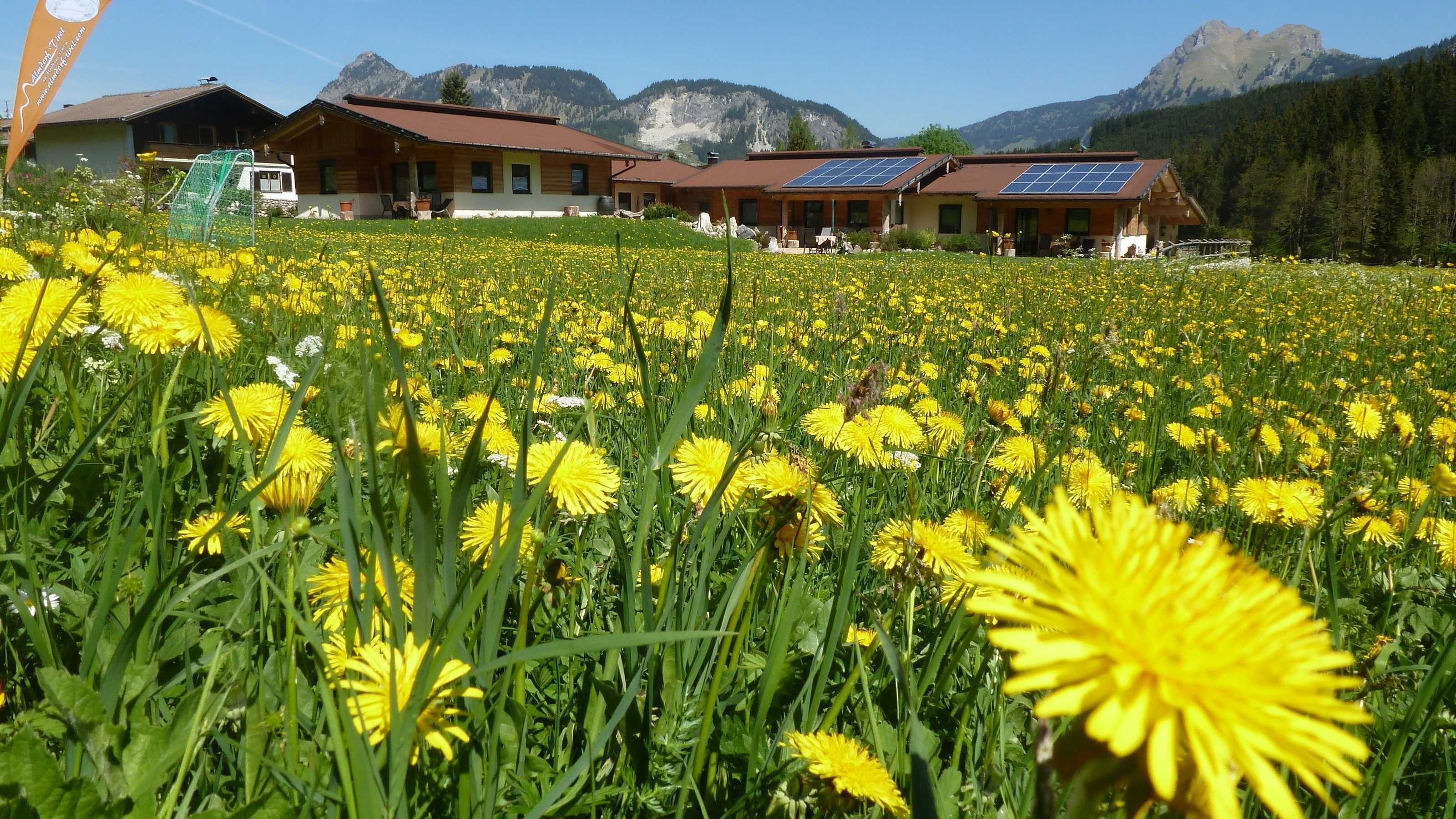 Ein Hotel mit mehreren Gebäuden, Solaranlagen auf den Dächern und einem Feld mit gelben Blumen im Vordergrund.