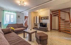 Télévision, cheminée, lecteur de DVD