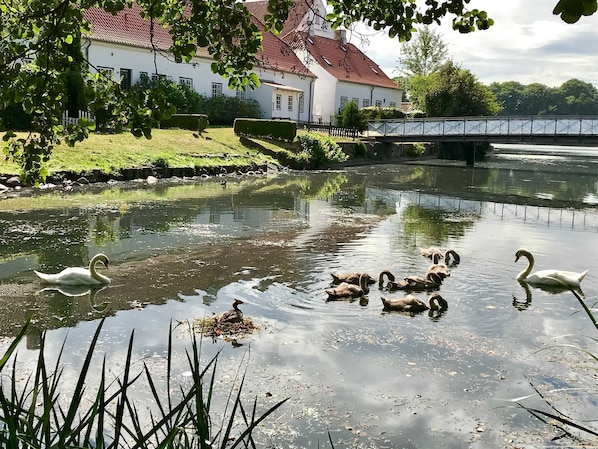 Overnatningsstedets område