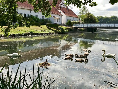 Sea view apartment Thousands