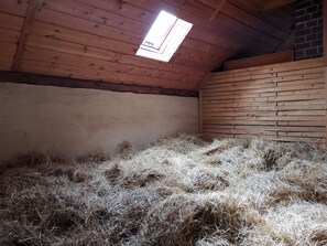 Botón de imagen sin clasificar, 5 de 21