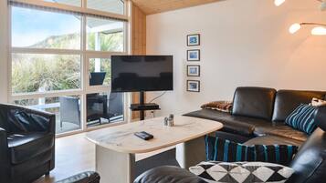 Een televisie, een open haard en een dvd-speler