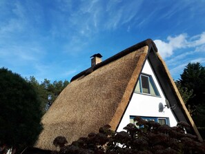 Photo non classée, 3 sur 26, bouton