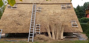 Exterior - Finnhütte Quilitz - holiday home (Rankwitz)