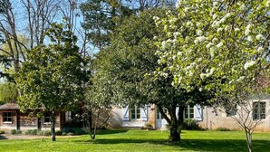 A house with a lawn, a wooden deck, and a stone wall. - Cozy home in St. Jean Aux Amognes (St. Jean Aux Amognes)