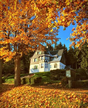 Unclassified image, 5 of 38, button