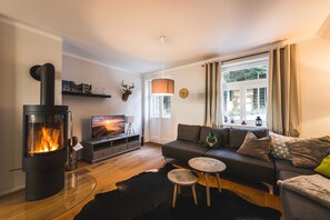 A cozy living room with a fireplace, a sofa, a TV, and a window with curtains. - Waldfrieden - maple avenue (Altenberg)
