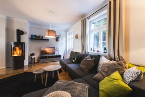 A cozy living room with a fireplace, a sofa, a TV, and a window with curtains. - Waldfrieden - maple avenue (Altenberg)