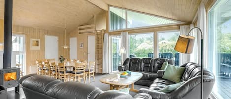 TV, fireplace, video-game console