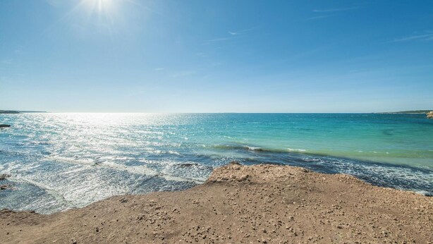 Ein Strand mit klarem, blauem Wasser und sandigem Ufer in der hellen Sonne.