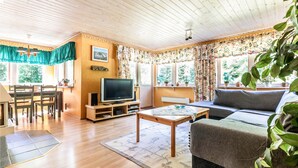 TV, fireplace, DVD player