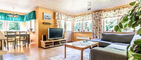 TV, fireplace, DVD player