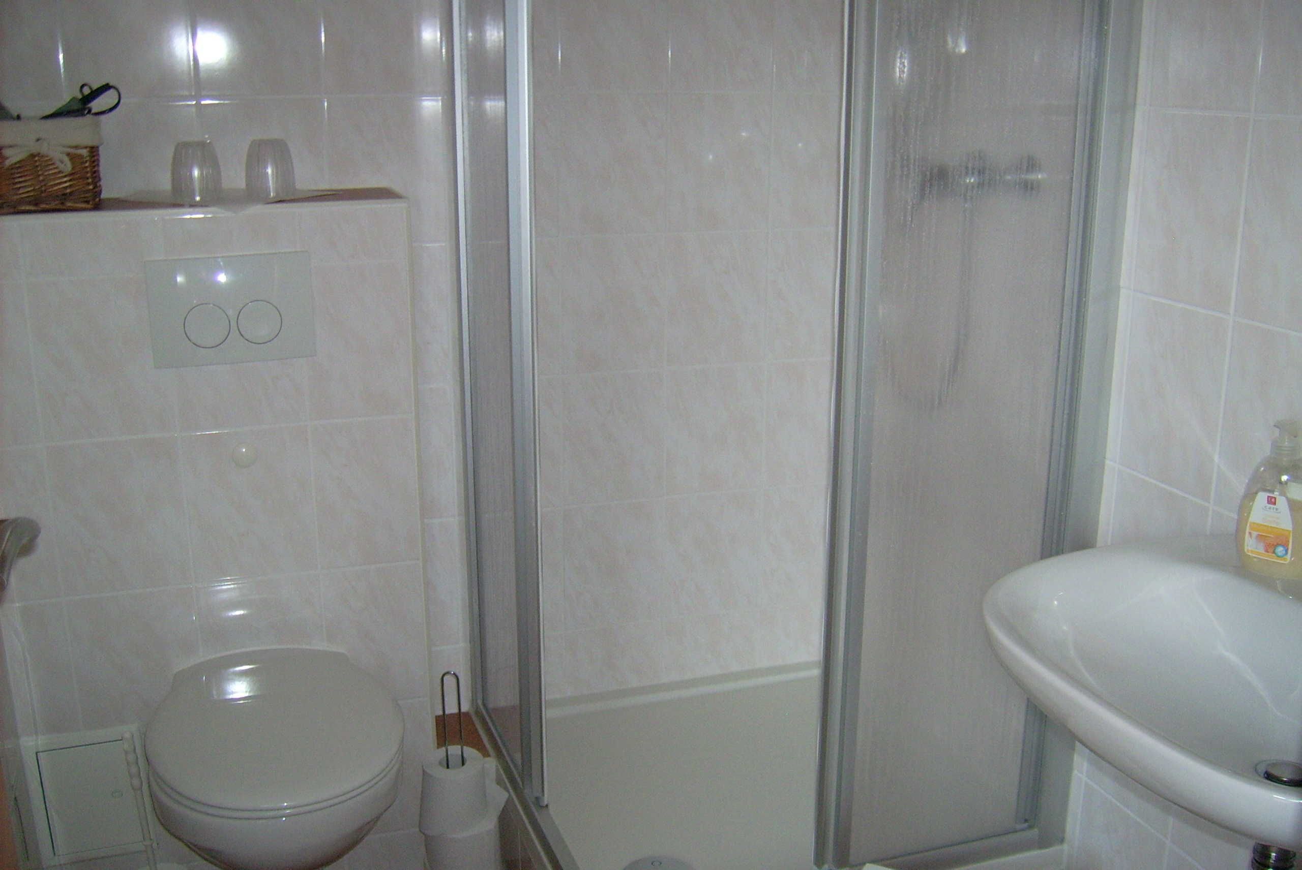 A bathroom with a toilet, a sink, and a shower enclosure.