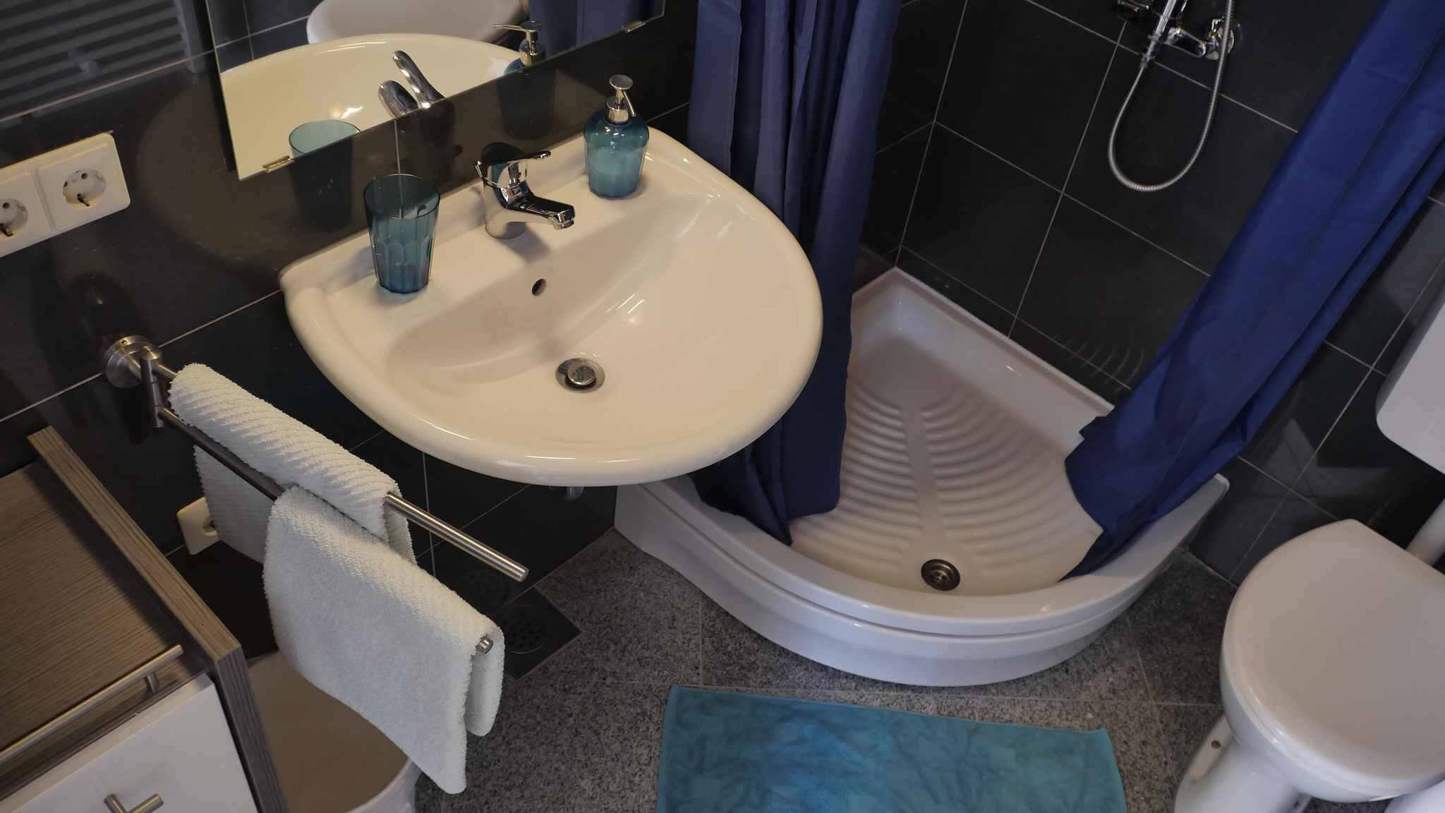 Une salle de bain avec un lavabo blanc, des toilettes et un espace douche.