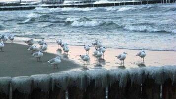 Una spiaggia nelle vicinanze