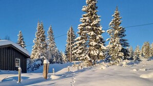 Uklassifisert bilde, 3 av 18, knapp