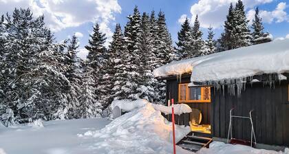 Gorgeous home in Nesbyen with sauna