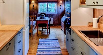 Gorgeous home in Nesbyen with sauna