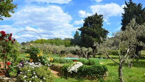 Een tuin met diverse planten, bloemen, stenen muren en bomen.
