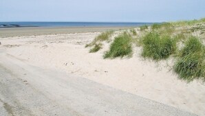Ein Sandstrand mit Dünen und blauem Himmel.