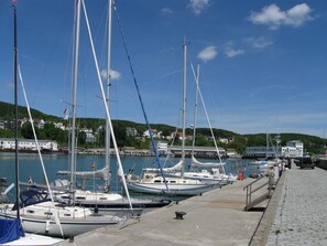 A marina with multiple sailboats docked, a paved walkway, and buildings in the background.