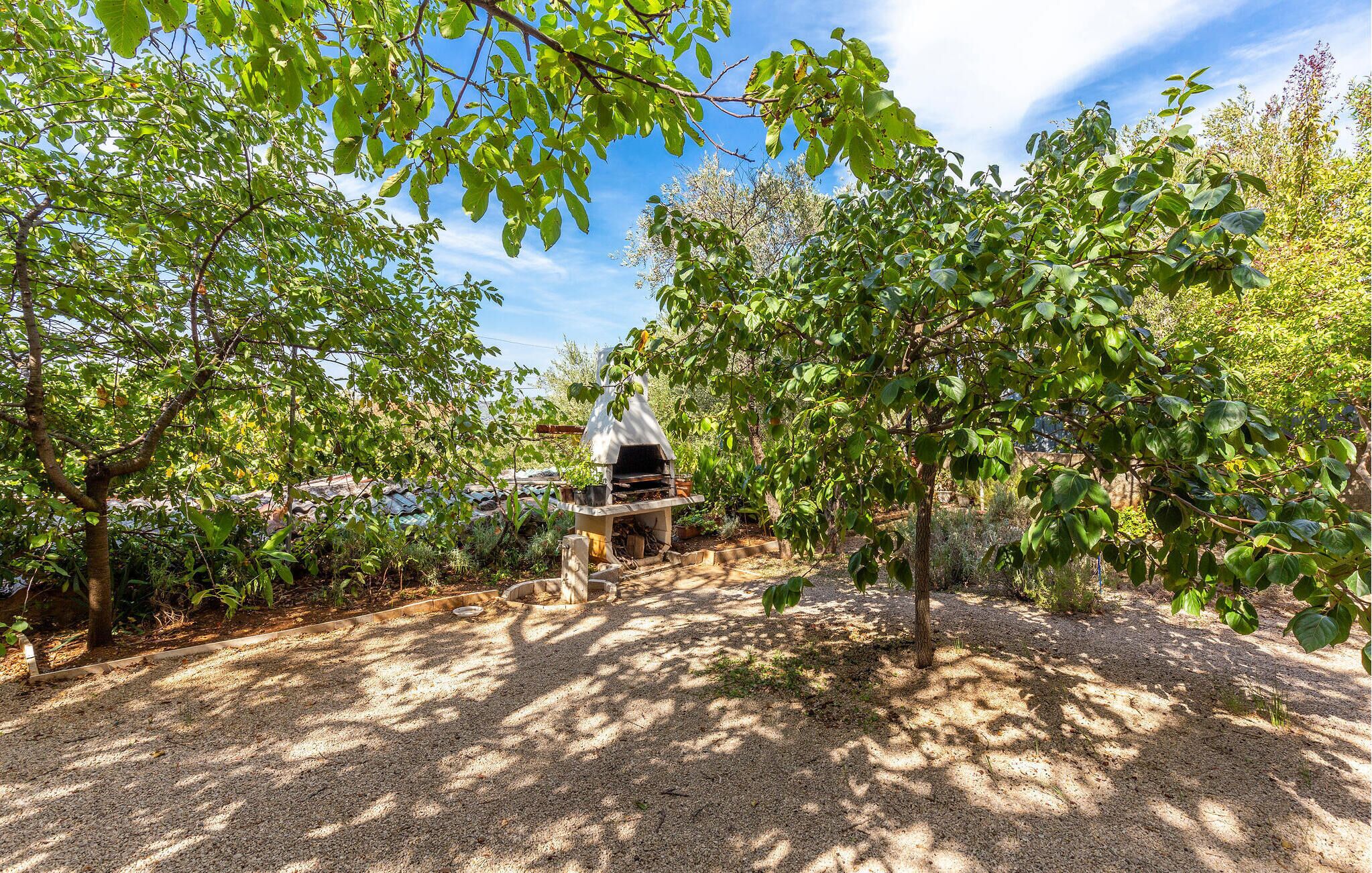 A garden with a barbecue area surrounded by trees and gravel.